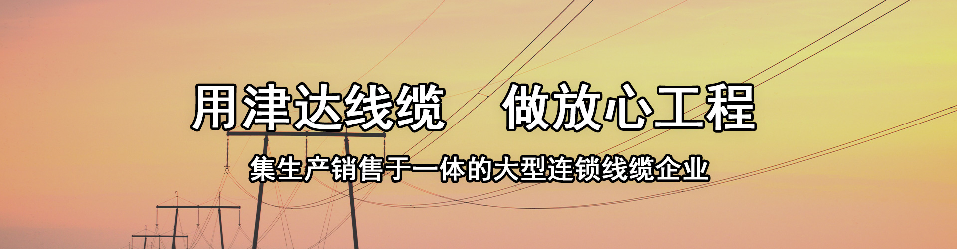 內蒙古（gǔ）正標荔枝app下载污在线观看線纜有限公司